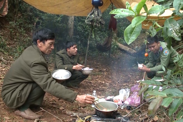 10 năm ăn núi ngủ lều, lương 5 triệu, nhân viên bảo vệ rừng trụ không nổi