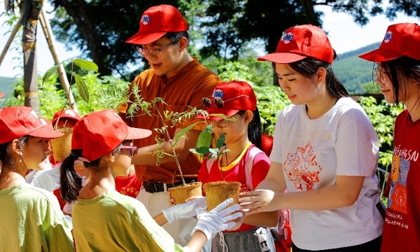 Sáng kiến trồng cây, gây rừng của học sinh tiểu học